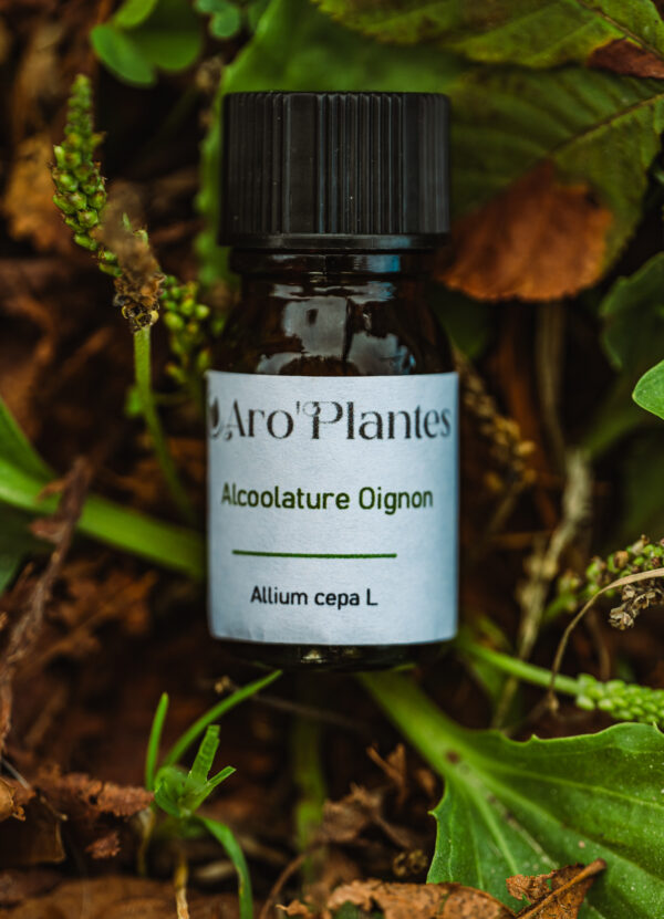 Teinture mère d'Oignon BIO - 10ml