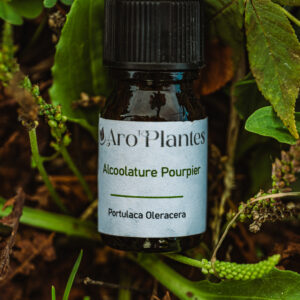 Teinture mère de Pourpier BIO - 10ml