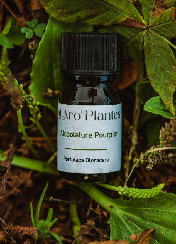 Teinture mère de Pourpier BIO - 10ml