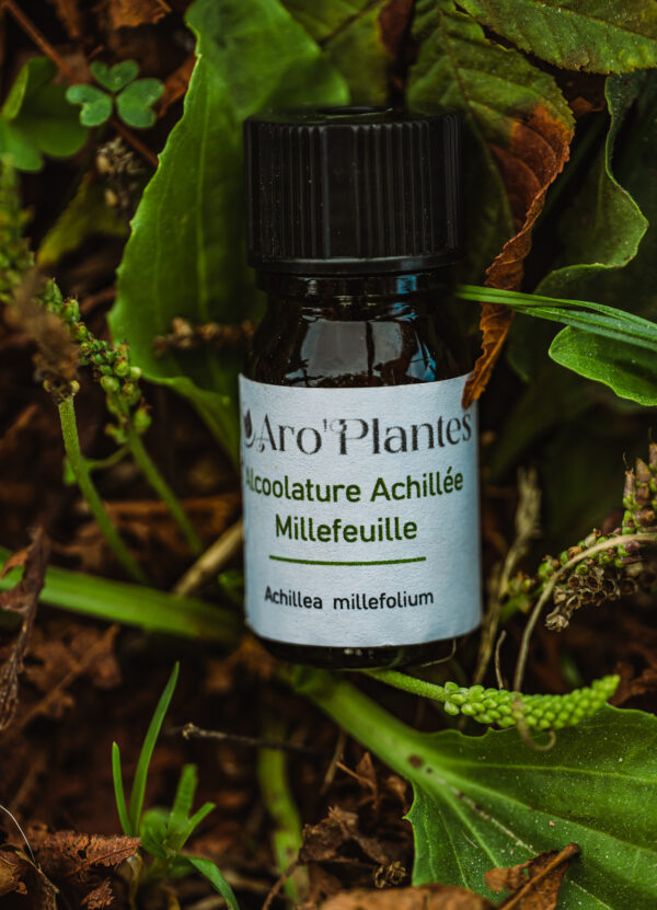 Teinture mère de Achillée Millefeuille BIO - 10ml