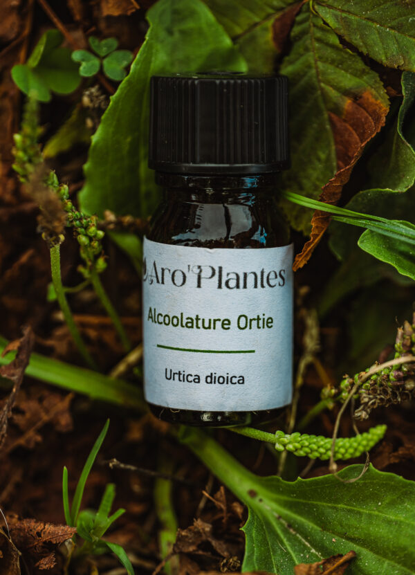 Teinture mère de Ortie BIO - 10ml