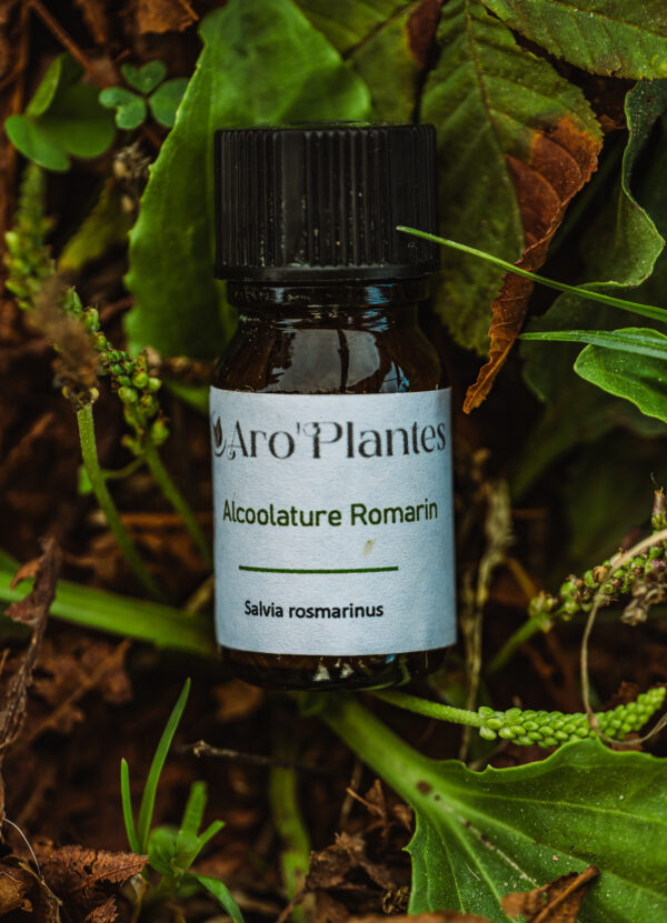 Teinture mère de Romarin BIO - 10ml