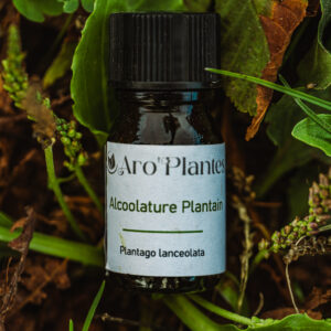 Teinture mère de Plantain BIO - 10ml