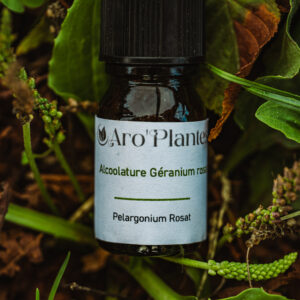 Teinture mère de Géranium rosat BIO - 10ml