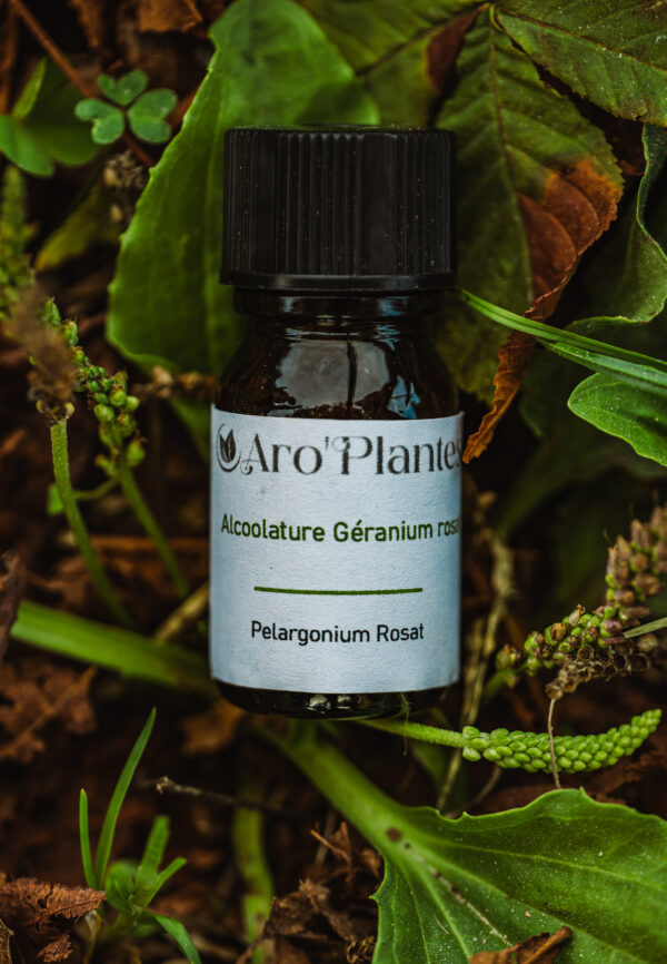 Teinture mère de Géranium rosat BIO - 10ml