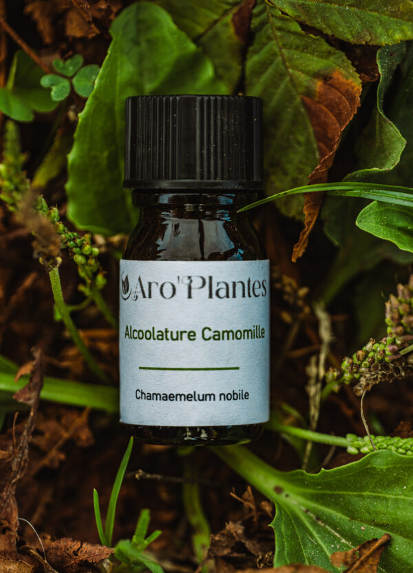 Teinture mère de Camomille BIO - 10ml