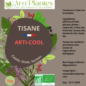 Tisane Arti-Cool BIO - 50g