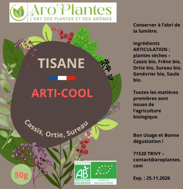 Tisane Arti-Cool BIO - 50g