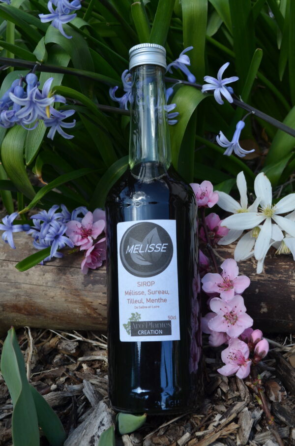 Sirop Mélisse Bio - 500ml
