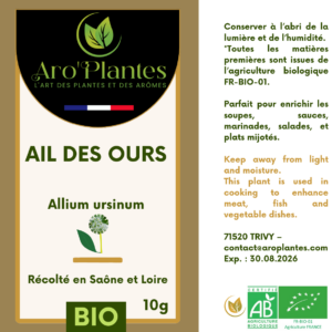 Ail des Ours séché BIO - 10g
