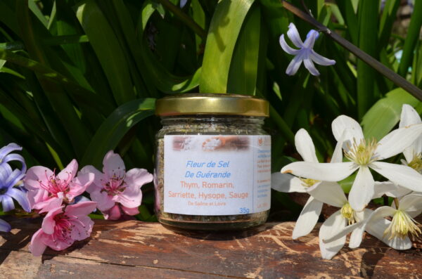 Sel de Guérande à Poissons - 35g
